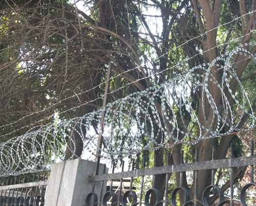西安刀刺网厂家.jpg
